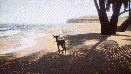 Exploring a bright beach