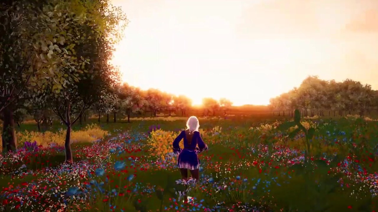 A sunset over a field of wildflowers